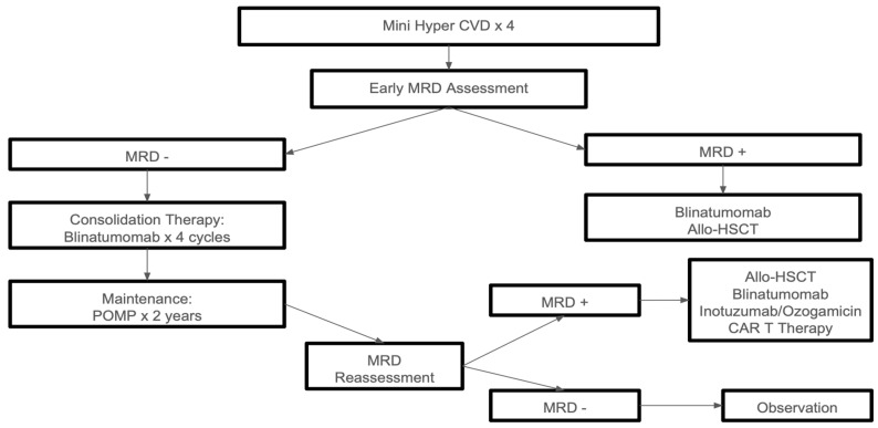 Treatment pathway chart for medically fit adults with Philadelphia chromosome-negative acute lymphoblastic leukemia, showing chemotherapy, blinatumomab, stem cell transplant, and CAR T-cell decision points